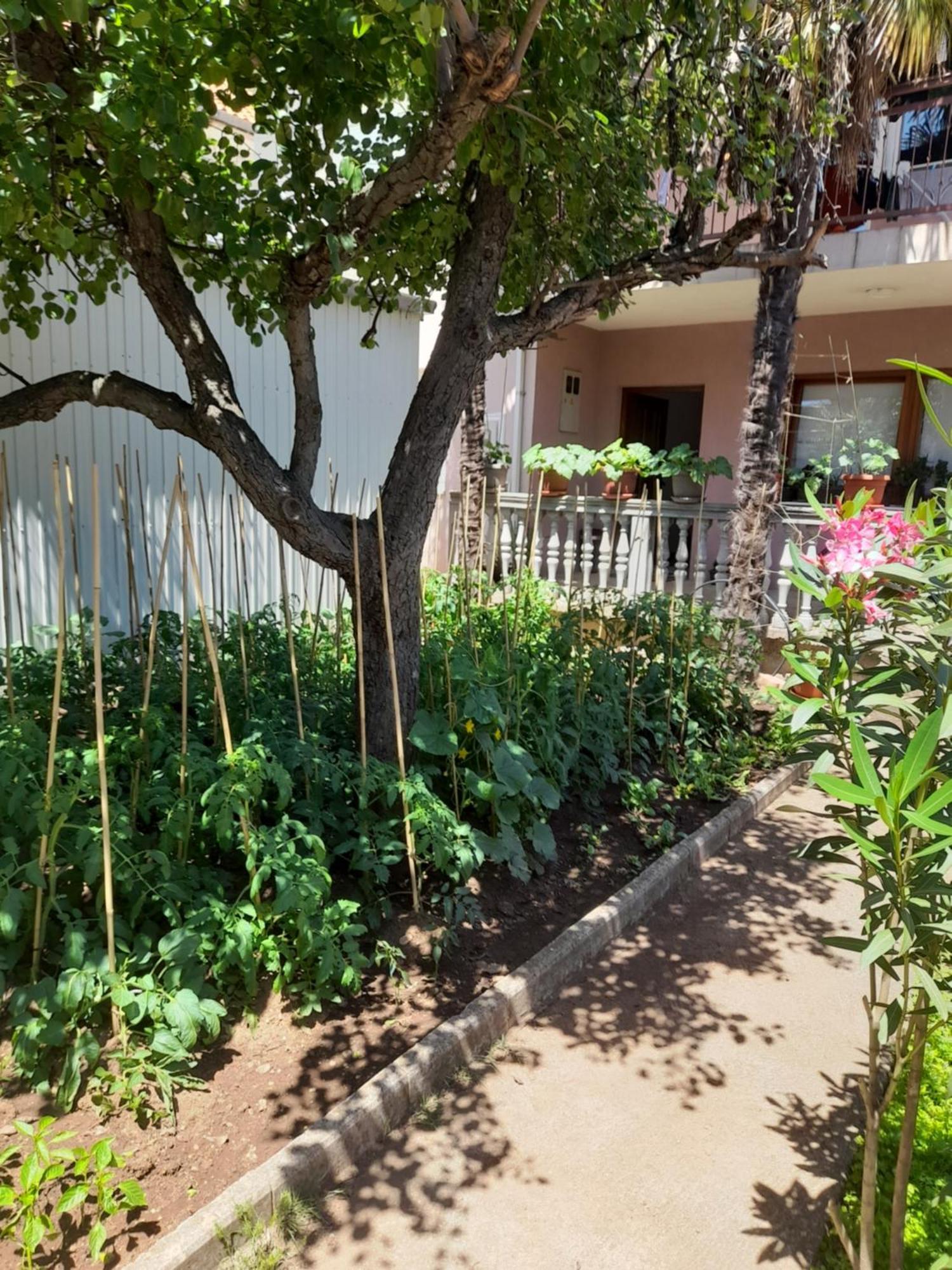 Apartman Avdic Μόσταρ Εξωτερικό φωτογραφία